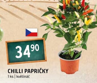 Terno CHILLI PAPRIČKY nabídka