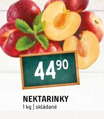 Terno NEKTARINKY nabídka