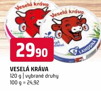 Terno VESELÁ KRÁVA nabídka