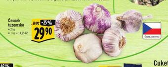 Albert Česnek tuzemsko nabídka