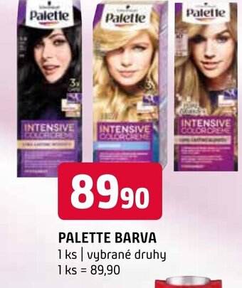 Terno PALETTE BARVA nabídka
