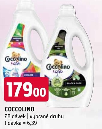 Terno COCCOLINO nabídka