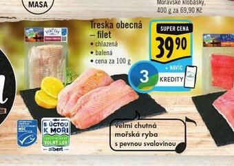 Albert Treska obecná - filet nabídka