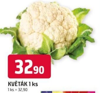 Trefa KVĚTÁK 1 ks nabídka