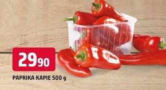 Trefa PAPRIKA KAPIE 500 g nabídka