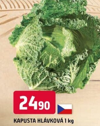 Trefa KAPUSTA HLÁVKOVÁ 1 kg nabídka
