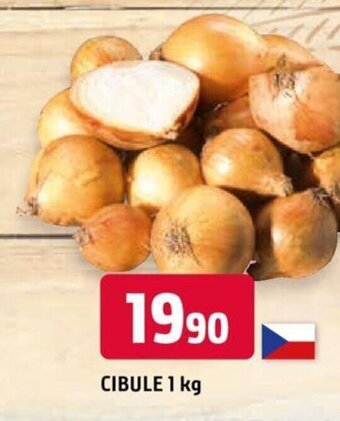 Trefa CIBULE 1 kg nabídka