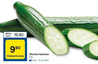 Tesco Okurka hadovka nabídka