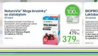 Naturevia mega brusinky se zlatobýlem
