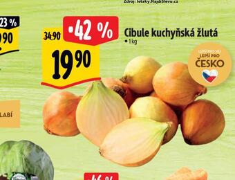 Cibule kuchyňská žlutá
