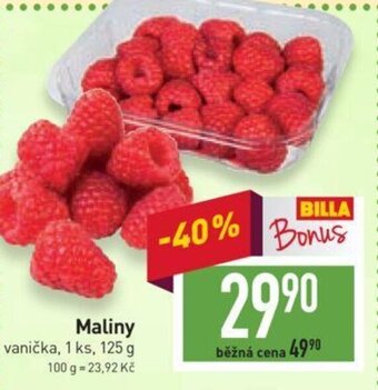 Billa Maliny nabídka