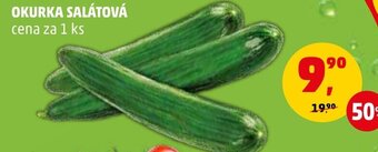 Penny Market OKURKA SALÁTOVÁ cena za 1 ks nabídka