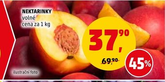 Penny Market NEKTARINKY nabídka