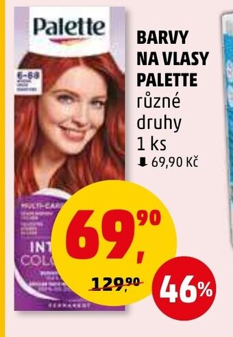 Penny Market BARVY NA VLASY PALETTE nabídka