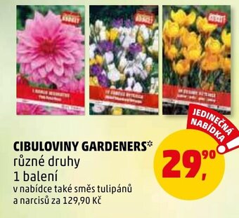 Penny Market CIBULOVINY GARDENERS nabídka