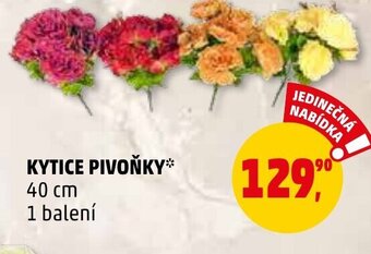 Penny Market KYTICE PIVOŇKY nabídka