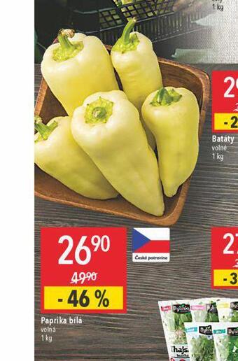 Globus Paprika bílá nabídka