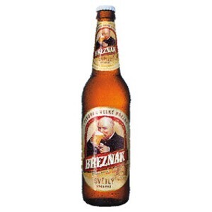 Penny Market Březňák, světlé výčepní pivo 0,5l 500ml nabídka