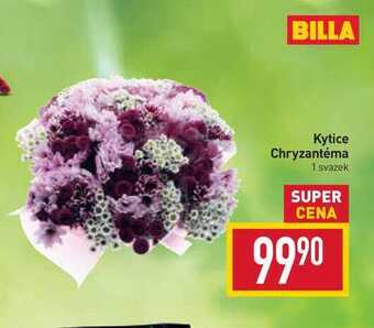 Billa Kytice chryzantéma 1 svazek nabídka