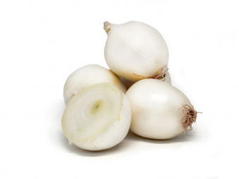 Trefa Cibule bílá 1kg nabídka