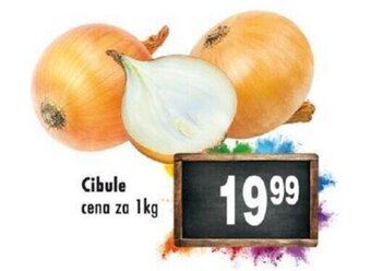 Qanto Cibule nabídka