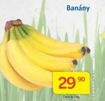Kubík potraviny Banány nabídka