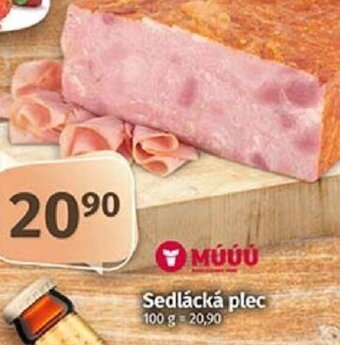 Coop Sedlácká plec nabídka