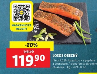 Lidl LOSOS OBECNÝ nabídka
