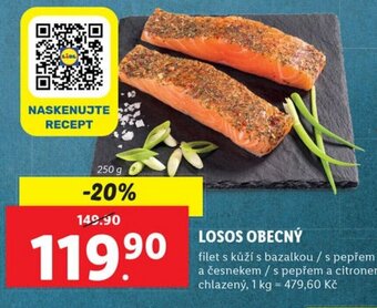 Lidl LOSOS OBECNÝ nabídka