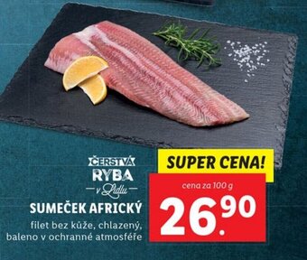 SUMEČEK AFRICKÝ