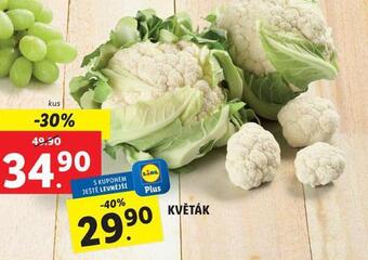 Lidl Květák nabídka