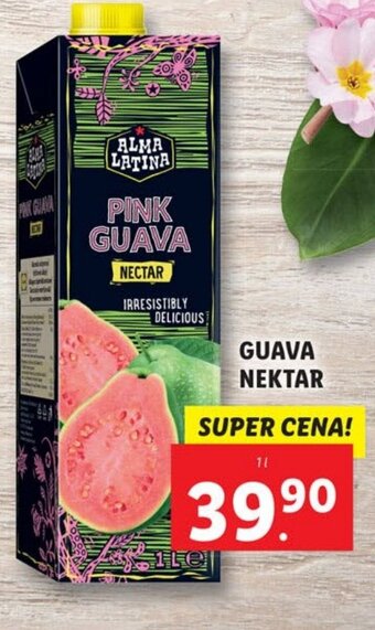 GUAVA NEKTAR