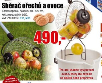 Sběrač ořechů a ovoce