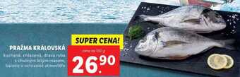 Lidl Pražma královská, cena za 100 g nabídka