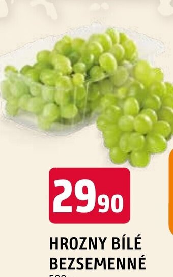 Terno HROZNY BÍLÉ BEZSEMENNÉ nabídka