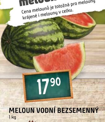Terno MELOUN VODNÍ BEZSEMENNÝ nabídka