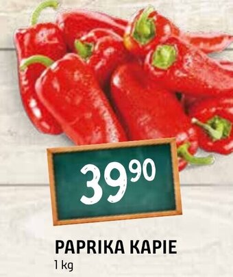 Terno PAPRIKA KAPIE nabídka
