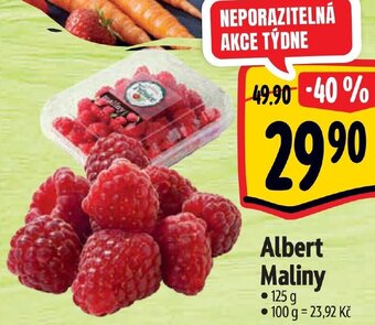 Albert Albert Maliny nabídka