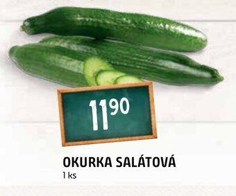 Terno OKURKA SALÁTOVÁ nabídka