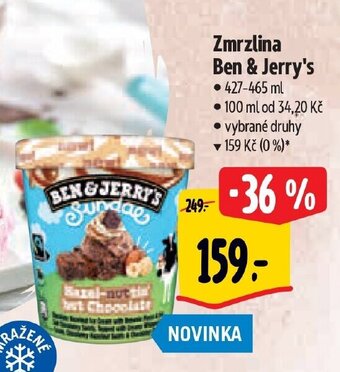 Albert Zmrzlina Ben & Jerry's nabídka