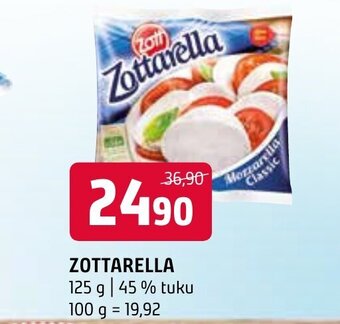 Terno ZOTTARELLA nabídka
