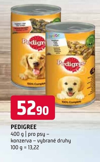 Terno PEDIGREE nabídka