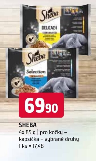 SHEBA