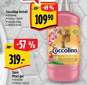 Albert Coccolino Aviváž nabídka