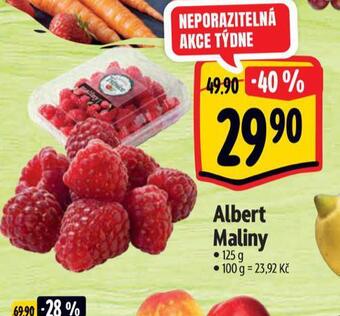 Albert Maliny nabídka