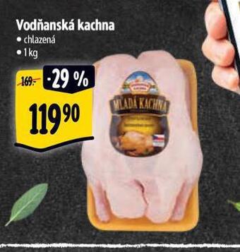 Albert Vodňanská kachna nabídka