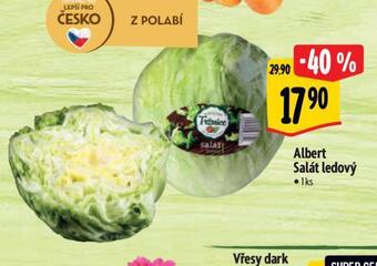 Albert Salát ledový nabídka