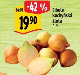 Albert Cibule kuchyňská žlutá nabídka