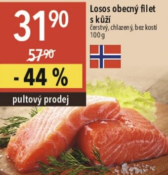 Globus Losos obecný filet s kůží nabídka