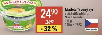 Globus Madeta Tavený sýr nabídka